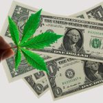 Cannabis Earnings Update: Marijuana Lenders And Top Operator To Report Results, Here’s What Investors Need To Know – Cresco Labs (OTC:CRLBF), Colgate-Palmolive (NYSE:CL)