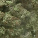 Howell marijuana dispensary proposal narrowly fails