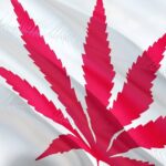 Survey: Attitudes Towards Legal Cannabis In Canada