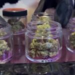 Video Trump signs order easing marijuana restrictions