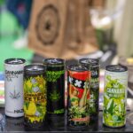 New York’s Liquor Shops May Start Selling Low-THC Cannabis Drinks