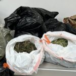 More than 168 pounds of marijuana found in Kings Mountain business, police say
