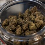 Outlook 2026: Social consumption poised to bring change to Mass. cannabis industry