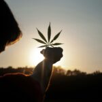 Major study finds strong link between cannabis, anxiety and depression