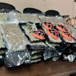 OBN K-9 team seizes Oklahoma-grown marijuana bound for out-of-state black market