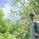 Explore the Industrial Hemp Growing Industry at Feb. 25 SIU Event