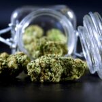 Clearing the Haze: What Employers Should Expect as Proposed Loosening of Federal Marijuana Regulation Moves Forward (US)