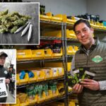 Military vet claims NY cannabis regulators are threatening his pot…