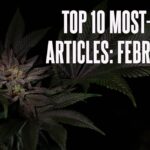 Florida’s 54,000-Signature Miscount on Legalization Petition Leads CBT’s Top Stories in February