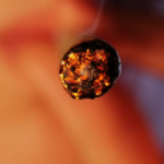 Texas will ban smokable hemp cannabis on March 31. Here’s what you need to know.