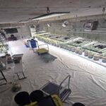 South Korea Arrests 124 in Major Drug Crackdown