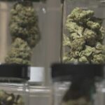 New federal program could cover up to $500 worth of hemp products for some patients