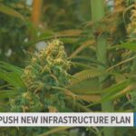 TN lawmakers propose act to legalize marijuana, use tax revenue to improve roadways