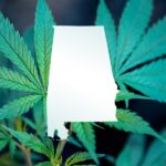 New Alabama hemp law prompts Huntsville to set retail guidelines