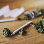 Armentano: Excessive cannabis taxes fuel illicit market