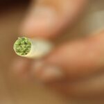 House approves bill lowering medical marijuana card costs for veterans, but path unclear in Senate