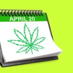 Minnesota’s legal cannabis industry, by the numbers