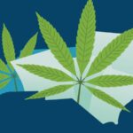 North Carolina advisory council recommends regulating ‘wild west’ cannabis market