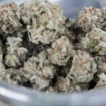 Colorado Marijuana Officials Announce Crackdown On Sales Of Hemp Products Amid ‘Risks To Public Safety’