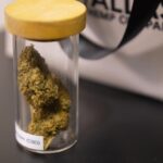 Texas judge to weigh temporary block on new hemp rules