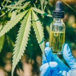 New cannabis-hemp extract rules take effect, limiting use to four purposes