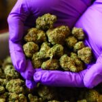 DOJ loosens federal rules on medical marijuana, a ‘historic’ shift
