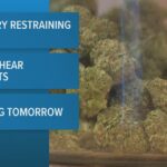 Judge to decide whether to extend block on Texas smokeable hemp ban