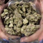 Dispensary proposal meets pushback; bill could stifle Pasadena cannabis business