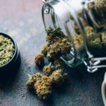 The marijuana of my youth is long gone. I wish someone had told me