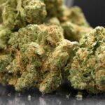 Virginia Governor Proposes Delaying Launch of Recreational Cannabis Sales