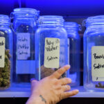 Hemp ban harms veterans, small businesses. Texas should undo it.