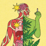 What Doctors Want You to Know About Cannabis and Health