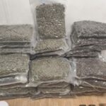 Police break marijuana-trafficking rings