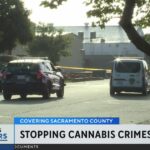 Sacramento cannabis operators raise safety concerns after deadly warehouse break-in shooting