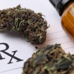 Idaho activists collected over 150,000 signatures to put medical marijuana on the ballot