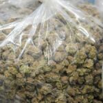 Trump’s DOJ reclassified medical marijuana. What does it mean for Delaware?