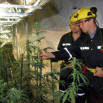 Decade-old ambitions to grow weed in a UP copper mine may haunt Michigan’s industry