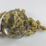 Marijuana Components Have ‘Consistent’ Anti-Tumor Effects In Glioblastoma And Other Cancers, Scientific Review Shows