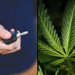 Congressional Committee Approves Bill To Develop ‘Impairment Standards’ For Cannabis