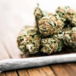 ₹16 Crore Cannabis Seizure in Canada: 5 Indian-Origin Men Arrested in Trailer Theft and Drug Trafficking Case