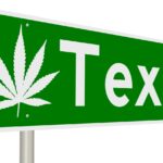 Village Farms: U.S. Cannabis Optionality (Rating Upgrade)