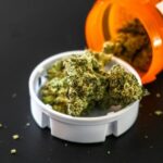 Medical marijuana: Indiana republicans show openness to limited legalization as Bohacek prepares bill