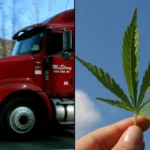 Federal Drug Testing Rule Will Require ‘Directly Observed’ Urine Collection From Truck Drivers
