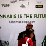 Cannabis Might Be Broken – Entrepreneurs Keep Betting On It Anyway.