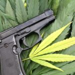 Supreme Court rules marijuana use does not strip gun rights