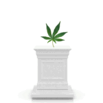 Millennials Like Me Were Sold a Fantasy About Weed. Now Researchers Have a Warning.