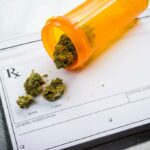 The FDA is fast-tracking a THC drug. Here’s why it’s a big deal