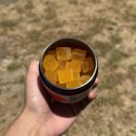 I Tried Batch’s Uplift THC Gummies, and Somehow I Still Got Things Done