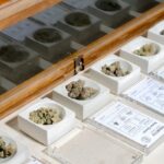 Michigan’s weed industry is getting smaller despite stabilizing monthly sales