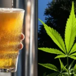 Cannabis Consumers Are Way More Likely To Dine At Restaurants That Offer THC Drinks As An Alcohol Alternative, Poll Shows